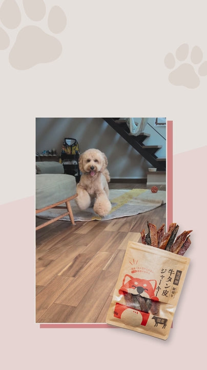 牛タン皮ジャーキー 細切り 犬用 50g