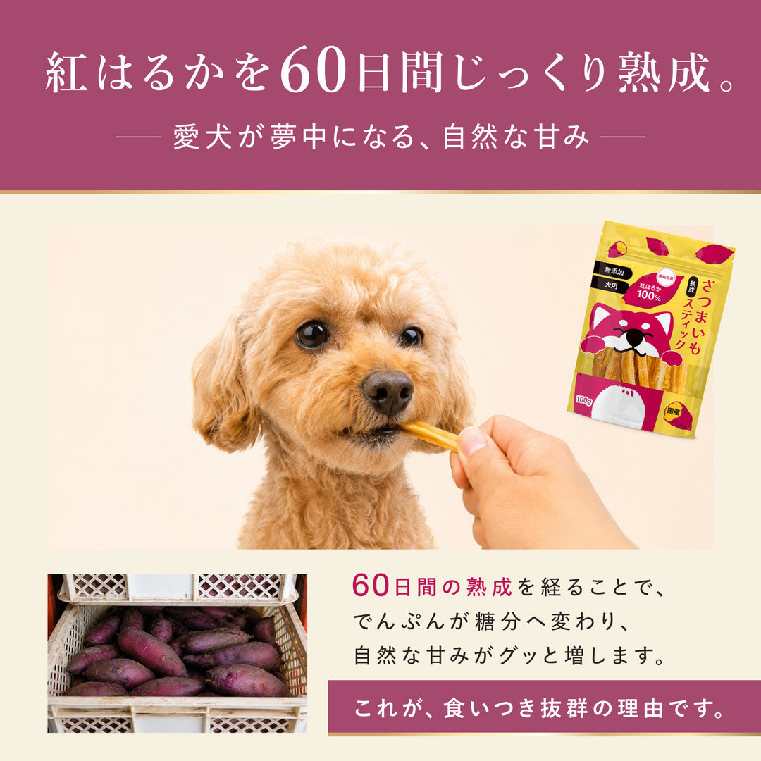 熟成 さつまいもスティック 犬用 100g